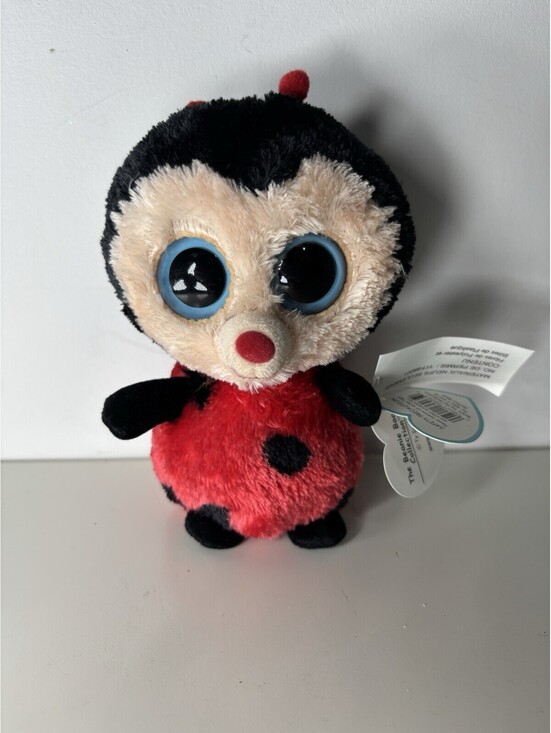 Ty Other - Ty Beanie Boo BUGSY The Ladybug (6 inch) Solid Eyes- NWT-